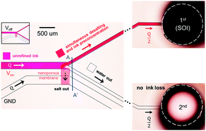 Graphical abstract: Experimental verification of simultaneous desalting and molecular preconcentration by ion concentration polarization