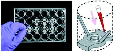Graphical abstract: Upgrading well plates using open microfluidic patterning