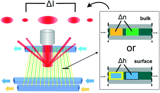Graphical abstract: Asymmetric nanofluidic grating detector for differential refractive index measurement and biosensing