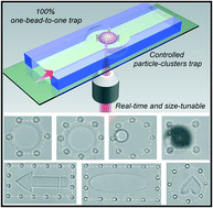 Graphical abstract: Real-time two-photon lithography in controlled flow to create a single-microparticle array and particle-cluster array for optofluidic imaging