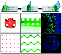 Graphical abstract: Microstructure guided multi-scale liquid patterning on an open surface