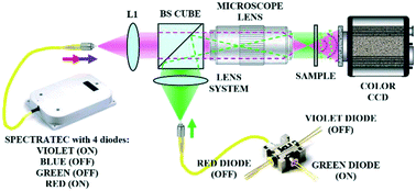 Graphical abstract: Dual-mode holographic microscopy imaging platform