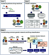 Graphical abstract: Identifying the common genetic networks of ADR (adverse drug reaction) clusters and developing an ADR classification model