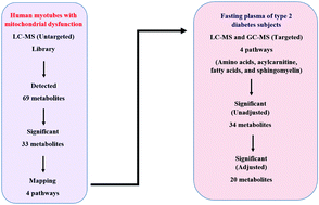 Graphical abstract: Association of cultured myotubes and fasting plasma metabolite profiles with mitochondrial dysfunction in type 2 diabetes subjects