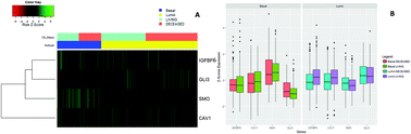 Graphical abstract: Hedgehog-mesenchyme gene signature identifies bi-modal prognosis in luminal and basal breast cancer sub-types