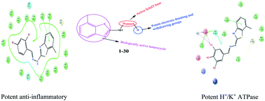 Graphical abstract: Synthesis of benzo[d]thiazole-hydrazone analogues: molecular docking and SAR studies of potential H+/K+ ATPase inhibitors and anti-inflammatory agents