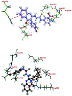 Graphical abstract: Identification of potent cholecystokinin-B receptor antagonists: synthesis, molecular modeling and anti-cancer activity against pancreatic cancer cells