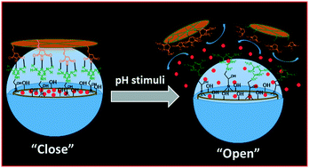 Graphical abstract: Synthesis of surface capped mesoporous silica nanoparticles for pH-stimuli responsive drug delivery applications