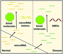 Graphical abstract: MicroRNAs as novel endogenous targets for regulation and therapeutic treatments