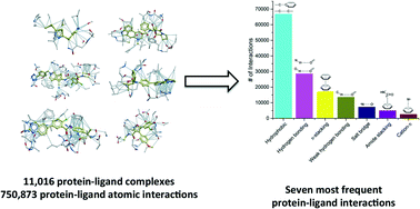 Graphical abstract: A systematic analysis of atomic protein–ligand interactions in the PDB