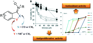 Graphical abstract: Antiproliferative activity of novel isatinyl/indanyl nitrones (INs) as potential spin trapping agents of free radical intermediates