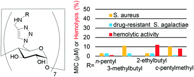 Graphical abstract: Membrane-active antimicrobial poly(amino-modified alkyl) β-cyclodextrins synthesized via click reactions