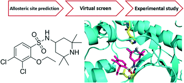 Graphical abstract: A novel allosteric inhibitor that prevents IKKβ activation