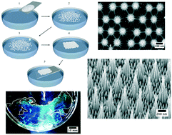 Graphical abstract: Fabrication of hierarchical biomimetic polymeric nanostructured surfaces