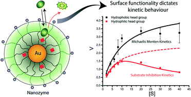 Graphical abstract: Modulating the catalytic activity of enzyme-like nanoparticles through their surface functionalization