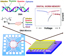 Graphical abstract: New high performance digital memory devices fabricated with DNA and DNA-mimics