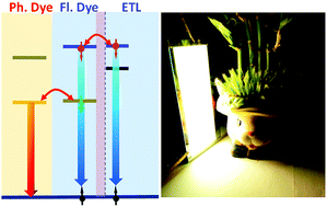 Graphical abstract: Spatial exciton allocation strategy with reduced energy loss for high-efficiency fluorescent/phosphorescent hybrid white organic light-emitting diodes