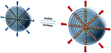 Graphical abstract: Smart molecular-spring photonic droplets