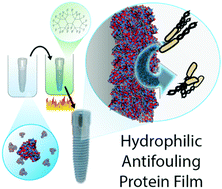 Graphical abstract: Translation of protein charge and hydrophilicity to materials surface properties using thermal treatment in fluorous media