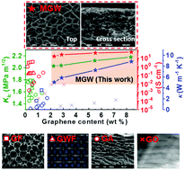 Graphical abstract: A three-dimensional multilayer graphene web for polymer nanocomposites with exceptional transport properties and fracture resistance