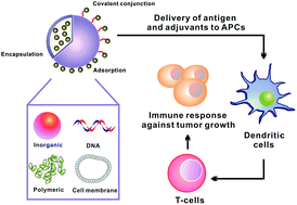 Graphical abstract: Nanoscale delivery systems for cancer immunotherapy