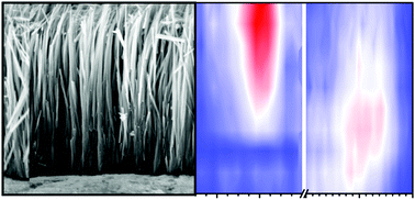 Defect density gradient in ZnO nanorods