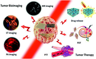 Graphical abstract: 2D transition metal dichalcogenide nanosheets for photo/thermo-based tumor imaging and therapy