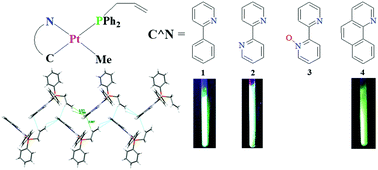 Graphical abstract: Photophysical properties of a series of cycloplatinated(ii) complexes featuring allyldiphenylphosphane