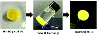 Graphical abstract: A facile method to fabricate hydrogels from DMSO polymer gels via solvent exchange