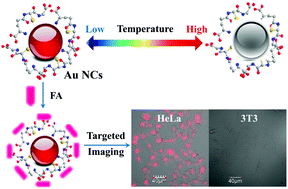 Graphical abstract: Tunable near-infrared fluorescent gold nanoclusters: temperature sensor and targeted bioimaging