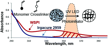 Graphical abstract: New UV LED curing approach for polyacrylamide and poly(N-isopropylacrylamide) hydrogels