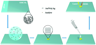 Graphical abstract: Fabrication of SERS substrates containing dense “hot spots” by assembling star-shaped nanoparticles on superhydrophobic surfaces