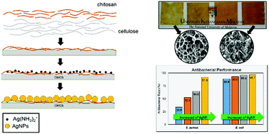 Graphical abstract: Effective immobilization of silver nanoparticles on a regenerated cellulose–chitosan composite membrane and its antibacterial activity