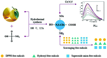 Graphical abstract: Highly fluorescent N,S-co-doped carbon dots: synthesis and multiple applications