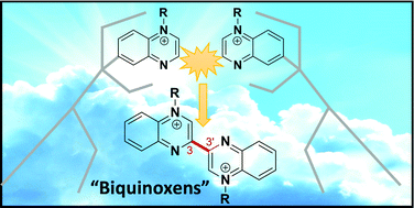 Graphical abstract: An alternative method to access diverse N,N′-diquaternised-3,3′-biquinoxalinium “biquinoxen” dications