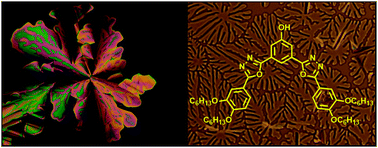 Graphical abstract: Columnar bent-core liquid crystals with two oxadiazole units and two or four alkyl chains and their phase-dependent fluorescence