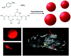 Graphical abstract: Red fluorescence-magnetic resonance dual modality imaging applications of gadolinium containing carbon quantum dots with excitation independent emission