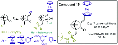 Graphical abstract: Synthesis of ferrocenylmethylidene and arylidene substituted camphane based compounds as potential anticancer agents