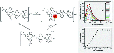 Graphical abstract: A novel cationic iridium(iii) complex with a thiorhodamine-based auxiliary ligand: application for luminescent and colorimetric detection of Hg2+ in an aqueous solution