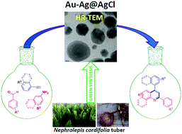Graphical abstract: A novel environmentally sustainable synthesis of Au–Ag@AgCl nanocomposites and their application as an efficient and recyclable catalyst for quinoline synthesis