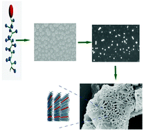 Graphical abstract: One-, two-, and three-dimensional hierarchical self-assembly of non-amphiphilic low-entropy chains from nanotubes to nanoribbons and porous net-sheets