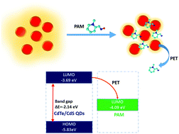 Graphical abstract: Photoinduced electron transfer between quantum dots and pralidoxime: an efficient sensing strategy