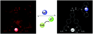 Graphical abstract: A β-diketonate–europium(iii) complex-based fluorescent probe for highly sensitive time-gated luminescence detection of copper and sulfide ions in living cells