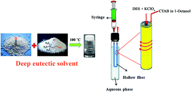 Graphical abstract: Deep eutectic liquid organic salt as a new solvent for carrier-mediated hollow fiber liquid phase microextraction of lead from whole blood followed by electrothermal atomic absorption spectrometry