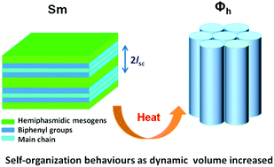 Graphical abstract: Self-organization behaviours of hemiphasmidic side-chain liquid-crystalline polymers with different spacer lengths