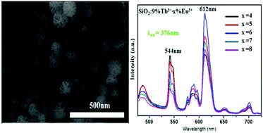 Graphical abstract: Synthesis, structure and multicolor-tunable luminescence of the dandelion-like SiO2:Ln3+ (Ln = Eu, Tb) nanophosphors
