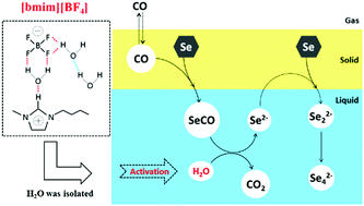 Graphical abstract: Se reduction by CO/H2O in ionic liquid: acceleration effect by activating water molecules