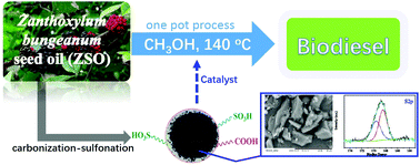 Graphical abstract: A Zanthoxylum bungeanum seed oil-based carbon solid acid catalyst for the production of biodiesel