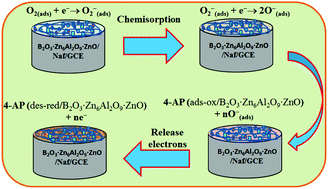 Graphical abstract: Enhanced photocatalytic activity and chemical sensor development based on ternary B2O3·Zn6Al2O9·ZnO nanomaterials for environmental safety