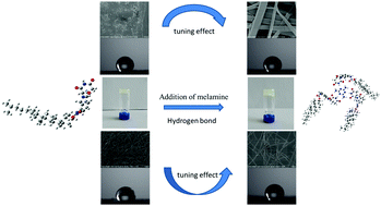Graphical abstract: Melamine tunable effect in a lenalidomide-based supramolecular self-assembly system via hydrogen bonding